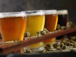 Cannabis Infused Beer Samplers