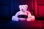 Teddy Bear in seatbelt - DWUI with Children in the Car